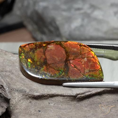 Ammolite Gemstone in 32.4 x 17.7 mm Size for Sale, Ammolite Stone in Multicolor Color