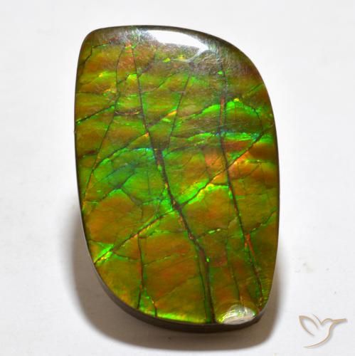 19.27 ct Multicolor Ammolite Gemstone, Ammolite Gem in Fancy Cabochon Shape for Sale.