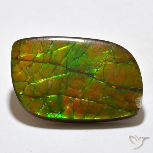 19.27 ct Multicolor Ammolite Stone, Natural Ammolite in Fancy Cabochon Shape for Sale
