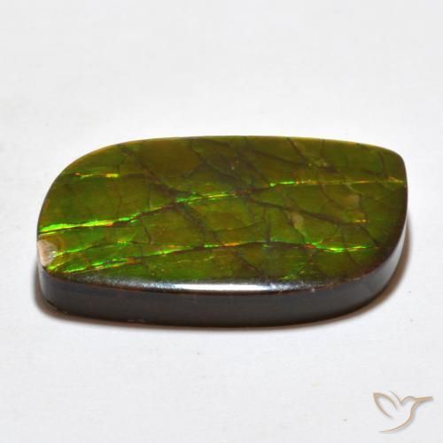 Ammolite Gemstone in 25.7 x 16.5 mm Size for Sale, Ammolite Stone in Multicolor Color