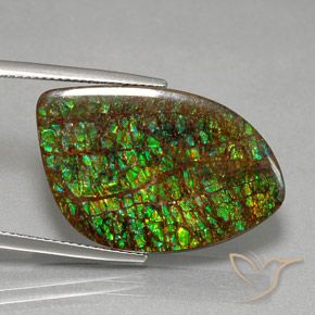 21.29 ct Multicolor Ammolite Stone, Natural Ammolite in Fancy Cabochon Shape for Sale