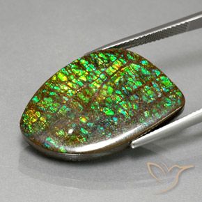 Ammolite Gemstone in 28.4 x 17.9 mm Size for Sale, Ammolite Stone in Multicolor Color