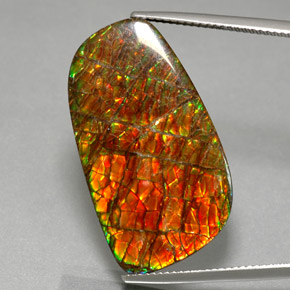 30.98 ct Multicolor Ammolite Gemstone, Ammolite Gem in Fancy Cabochon Shape for Sale.