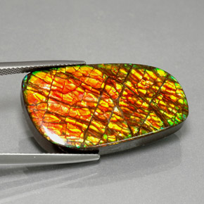 30.98 ct Multicolor Ammolite Stone, Natural Ammolite in Fancy Cabochon Shape for Sale
