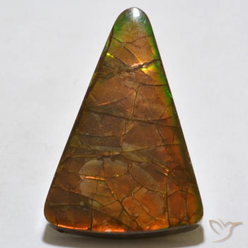 20.44ct Natural Multicolor Ammolite, Trillion, Opaque
