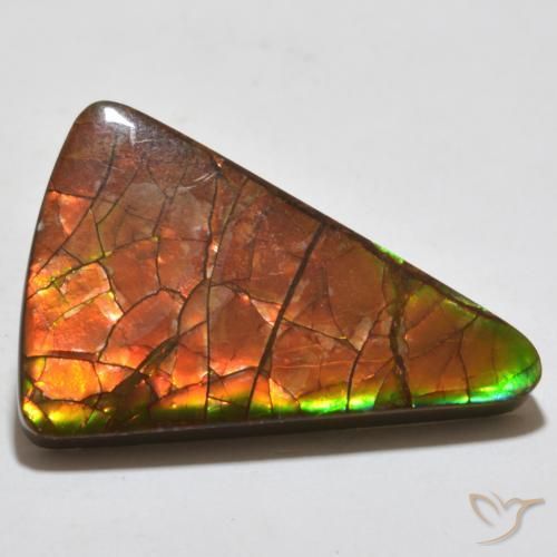 20.44 ct Multicolor Ammolite Stone, Natural Ammolite in Trillion Cabochon Shape for Sale