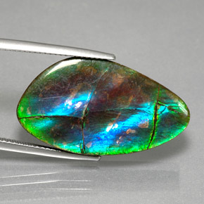 18.18 ct Multicolor Ammolite Stone, Natural Ammolite in Fancy Cabochon Shape for Sale