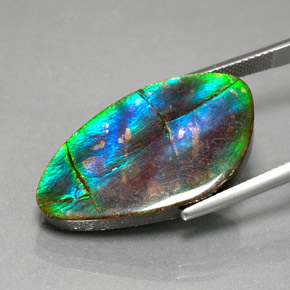 Ammolite Gemstone in 28.7 x 16.2 mm Size for Sale, Ammolite Stone in Multicolor Color