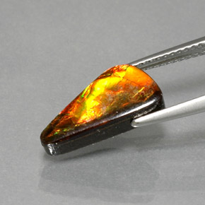 Ammolite Gemstone in 14.6 x 6.7 mm Size for Sale, Ammolite Stone in Multicolor Color