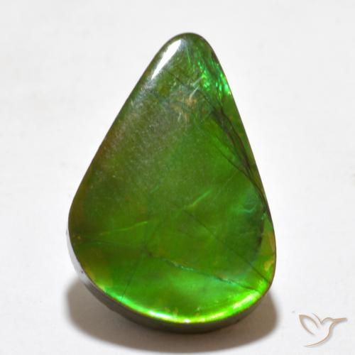 7.77ct Natural Multicolor Ammolite, Fancy, Opaque
