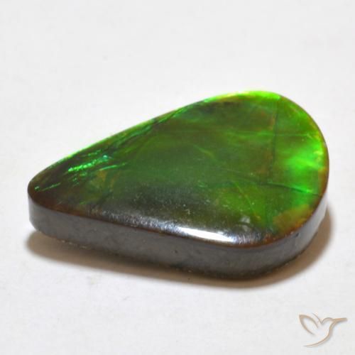 Ammolite Gemstone in 18.9 x 12.5 mm Size for Sale, Ammolite Stone in Multicolor Color