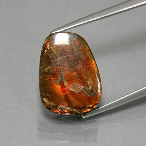 Multicolor Ammolite Gem - 7.8ct Fancy Cabochon (ID: 377657)