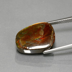 Ammolite Gemstone in 15.3 x 11.5 mm Size for Sale, Ammolite Stone in Multicolor Color