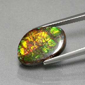 Ammolite Gemstone in 17.1 x 11.2 mm Size for Sale, Ammolite Stone in Multicolor Color