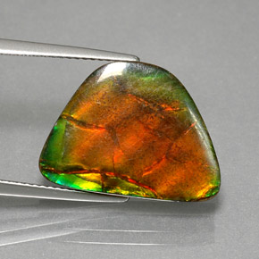9.79 ct Multicolor Ammolite Stone, Natural Ammolite in Fancy Cabochon Shape for Sale