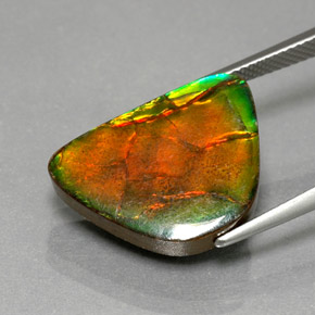 Ammolite Gemstone in 19.5 x 14.4 mm Size for Sale, Ammolite Stone in Multicolor Color