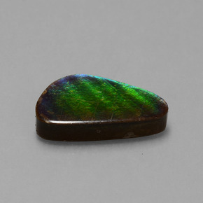 6.53 ct Multicolor Ammolite Stone, Natural Ammolite in Fancy Cabochon Shape for Sale