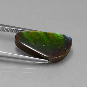 Ammolite Gemstone in 18.6 x 9.7 mm Size for Sale, Ammolite Stone in Multicolor Color