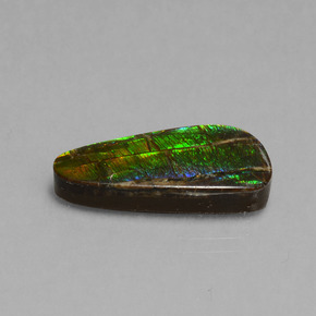 7.96 ct Multicolor Ammolite Stone, Natural Ammolite in Fancy Cabochon Shape for Sale