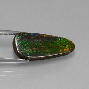 Ammolite Gemstone in 21.2 x 9.1 mm Size for Sale, Ammolite Stone in Multicolor Color
