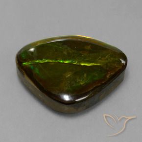14.70 ct Multicolor Ammolite Stone, Natural Ammolite in Fancy Cabochon Shape for Sale