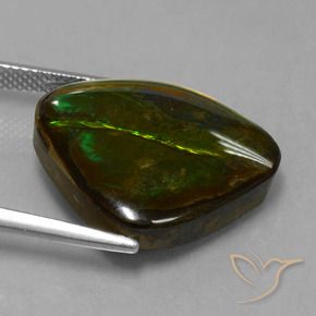Ammolite Gemstone in 21.3 x 18.4 mm Size for Sale, Ammolite Stone in Multicolor Color