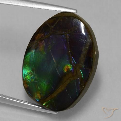 13.58ct Natural Multicolor Ammolite, Fancy, Opaque