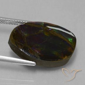 Ammolite Gemstone in 21.4 x 15.4 mm Size for Sale, Ammolite Stone in Multicolor Color