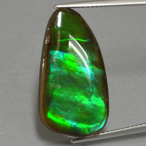 12.83 ct Multicolor Ammolite Gemstone, Ammolite Gem in Fancy Cabochon Shape for Sale.