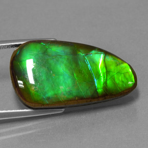 12.83 ct Multicolor Ammolite Stone, Natural Ammolite in Fancy Cabochon Shape for Sale