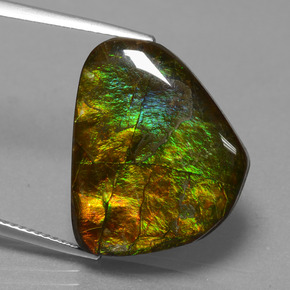 Multicolor Ammolite Gem - 15.6ct Fancy Cabochon (ID: 451517)