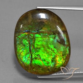 16.29 ct Multicolor Ammolite Stone, Natural Ammolite in Fancy Cabochon Shape for Sale