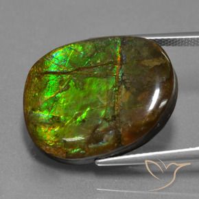 Ammolite Gemstone in 21.1 x 17.8 mm Size for Sale, Ammolite Stone in Multicolor Color