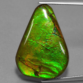 17.46 ct Multicolor Ammolite Gemstone, Ammolite Gem in Fancy Cabochon Shape for Sale.