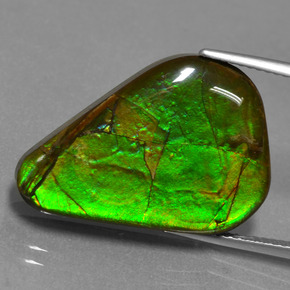 17.46 ct Multicolor Ammolite Stone, Natural Ammolite in Fancy Cabochon Shape for Sale