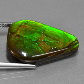 Ammolite Gemstone in 23.8 x 17.2 mm Size for Sale, Ammolite Stone in Multicolor Color