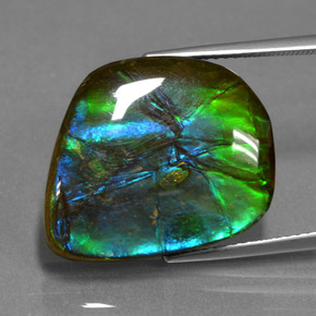 15.30 ct Multicolor Ammolite Gemstone, Ammolite Gem in Fancy Cabochon Shape for Sale.