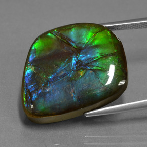 Ammolite Gemstone in 19.3 x 17 mm Size for Sale, Ammolite Stone in Multicolor Color