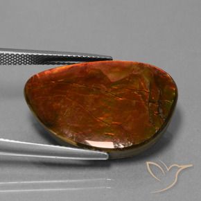 Ammolite Gemstone in 25 x 18 mm (calibrated) Size for Sale, Ammolite Stone in Multicolor Color
