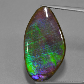 17.3ct Fancy Cabochon Multicolor Ammolite Gem for sale 17.3ct Fancy Cabochon Multicolor Ammolite Gem (ID: 451524)