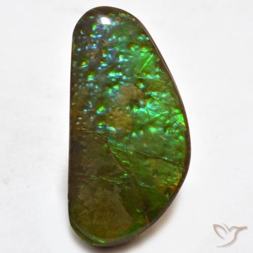 16.81ct Natural Multicolor Ammolite, Fancy, Opaque
