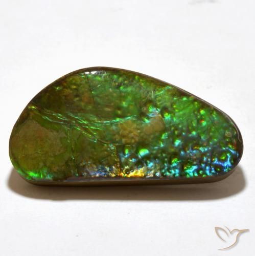 16.81 ct Multicolor Ammolite Stone, Natural Ammolite in Fancy Cabochon Shape for Sale