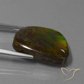 Ammolite Gemstone in 21.8 x 16.4 mm Size for Sale, Ammolite Stone in Multicolor Color