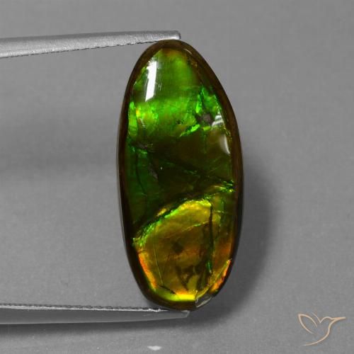 10.85ct Natural Multicolor Ammolite, Fancy, Opaque
