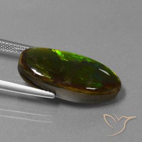 Ammolite Gemstone in 22.5 x 10.3 mm Size for Sale, Ammolite Stone in Multicolor Color