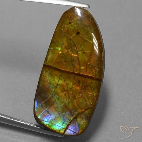 13.89ct Natural Multicolor Ammolite, Fancy, Opaque