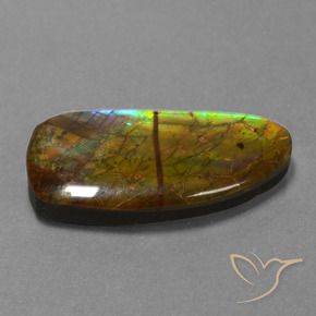 13.89 ct Multicolor Ammolite Stone, Natural Ammolite in Fancy Cabochon Shape for Sale