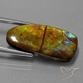 Ammolite Gemstone in 26.4 x 12.8 mm Size for Sale, Ammolite Stone in Multicolor Color