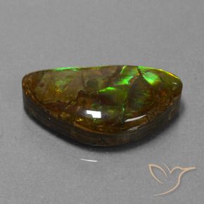 11.30 ct Multicolor Ammolite Stone, Natural Ammolite in Fancy Cabochon Shape for Sale