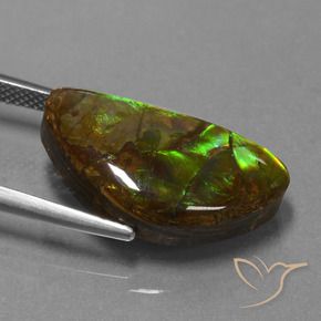 Ammolite Gemstone in 21.5 x 11.5 mm Size for Sale, Ammolite Stone in Multicolor Color